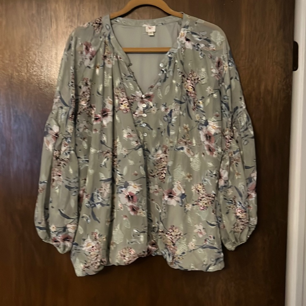 Woman’s dress blouse, elastic bottom and shear bell sleeves.